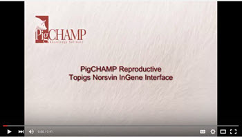 norsvin video