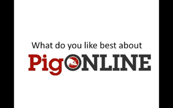Link to pigchamp online video