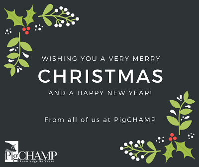 Merry Christmas & Happy New YEAR!