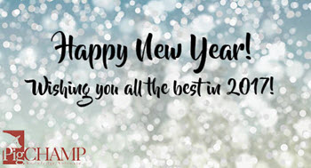 Happy New Year Happy New Year