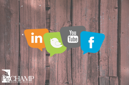 Social Media