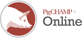 pigchamp online logo