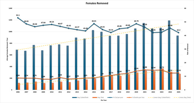 Benchmark chart